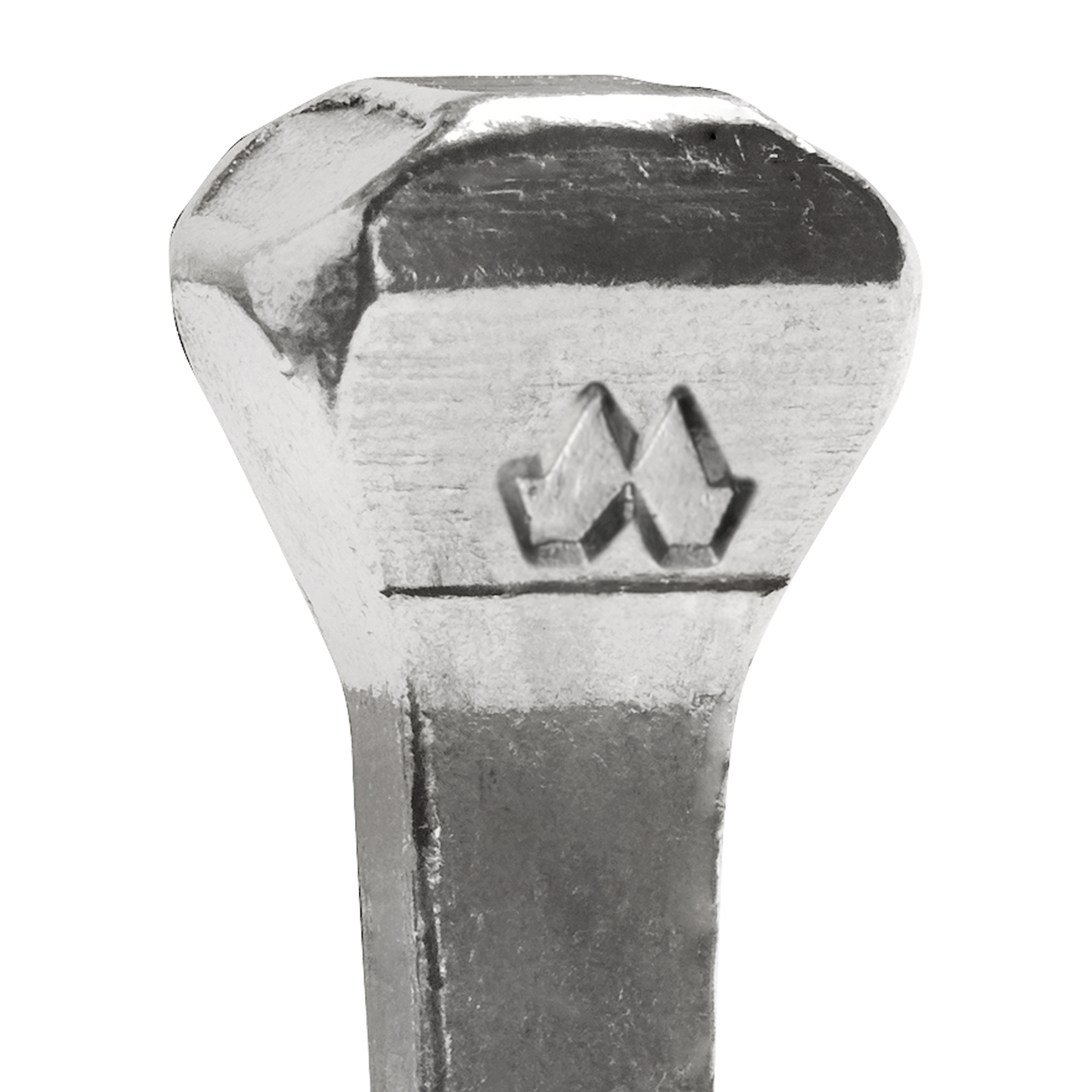 CLAVO PARA HERRAR MUSTAD REG (250 CLAVOS)
