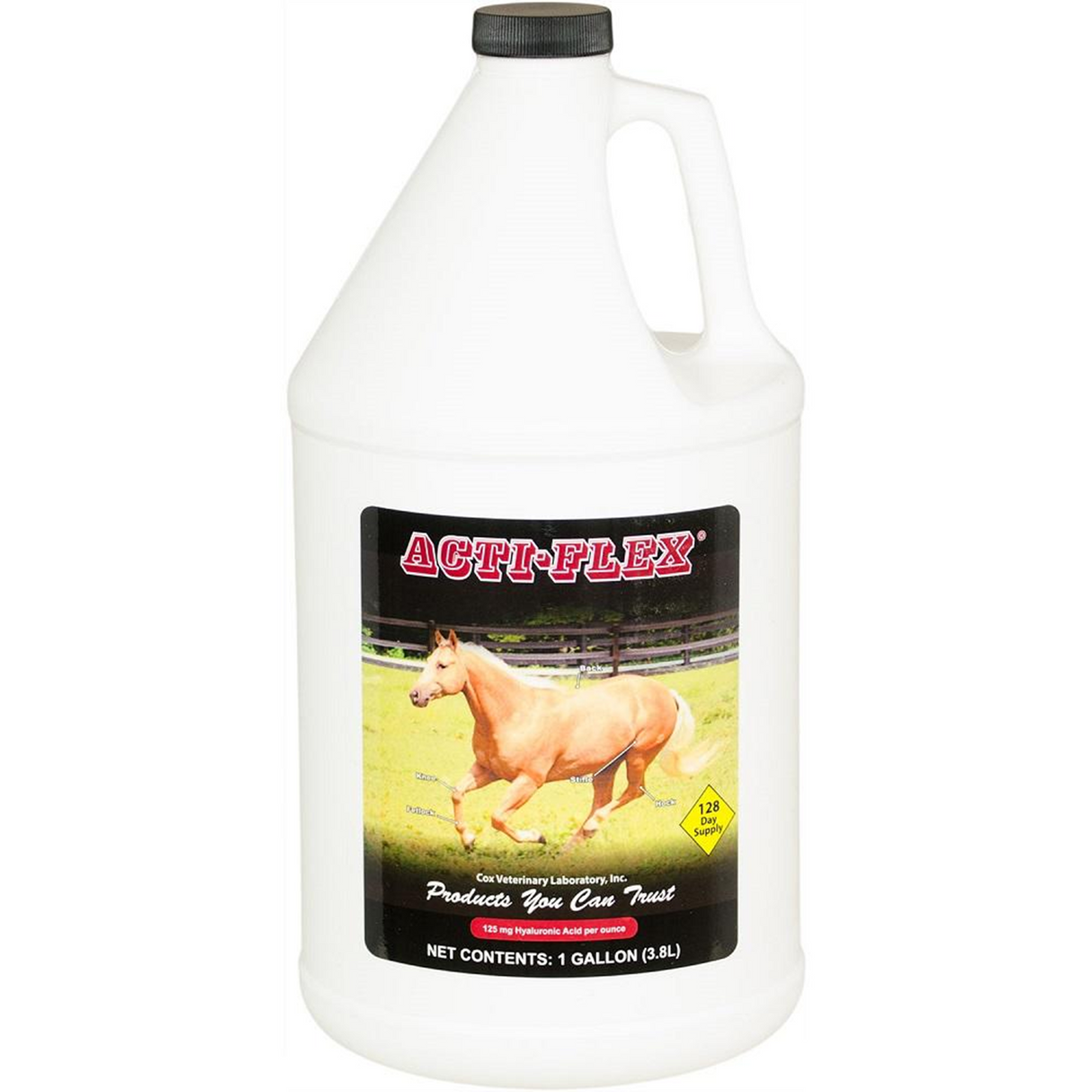 ACTI-FLEX 4000 LIQUIDO