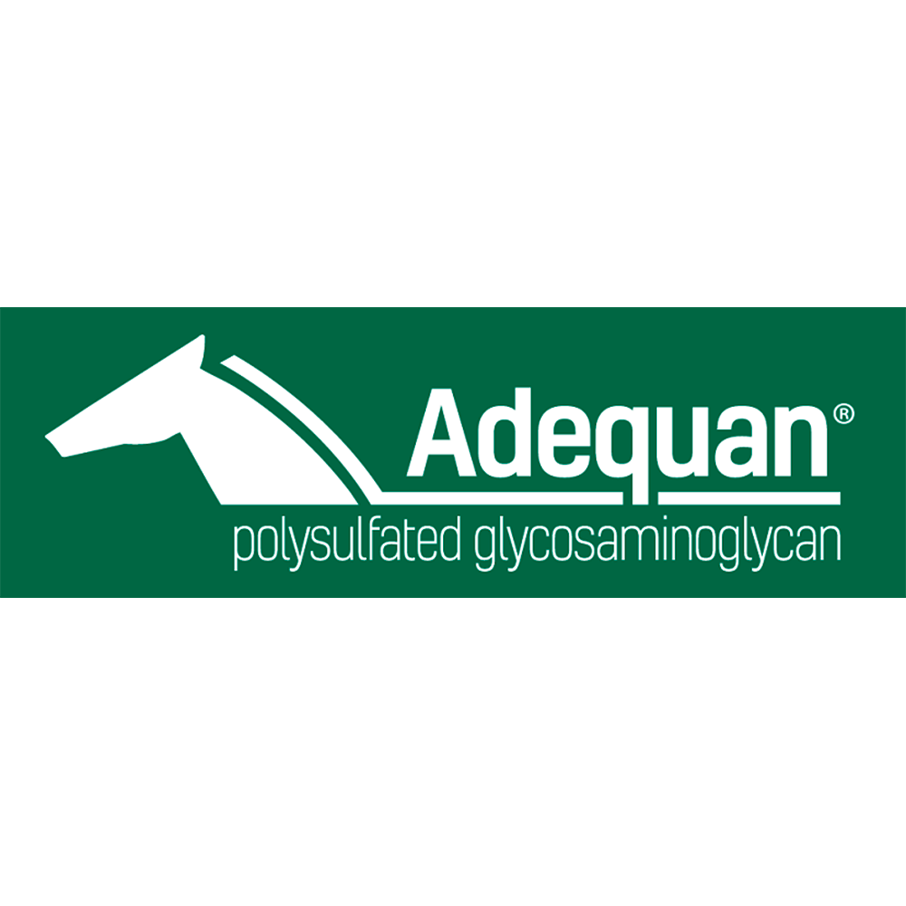 ADEQUAN I.M (PSGAG) 5 ml/500 mg (RX) (Venta x Unidad)