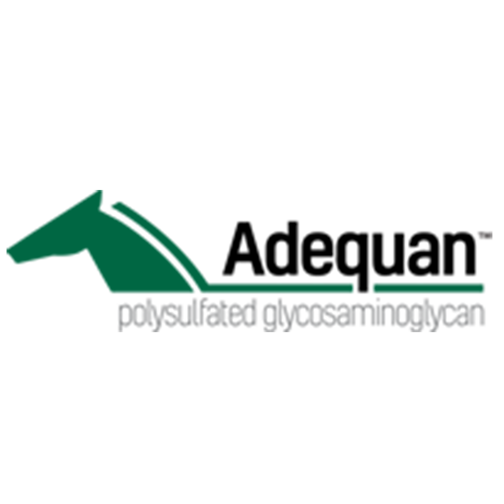 ADEQUAN I.M (PSGAG) 5 ml/500 mg (RX) (Venta x Unidad)