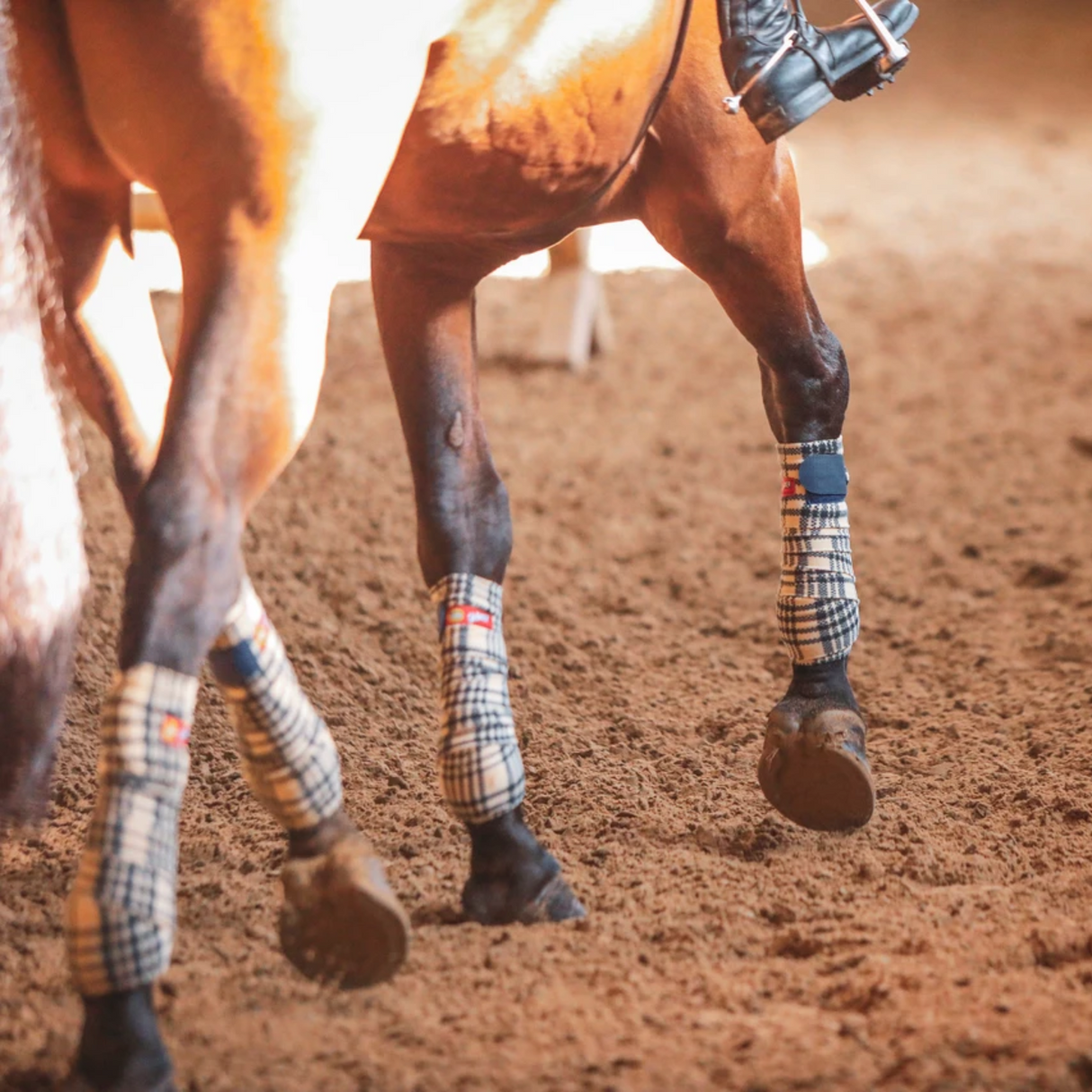Miembros de caballo palomino protegidos con vendas polo de cuadros 5/A Baker