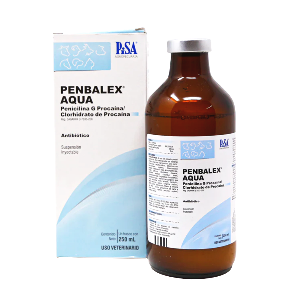 PENBALEX AQUA SUSPENSION INYECTABLE 250 ML