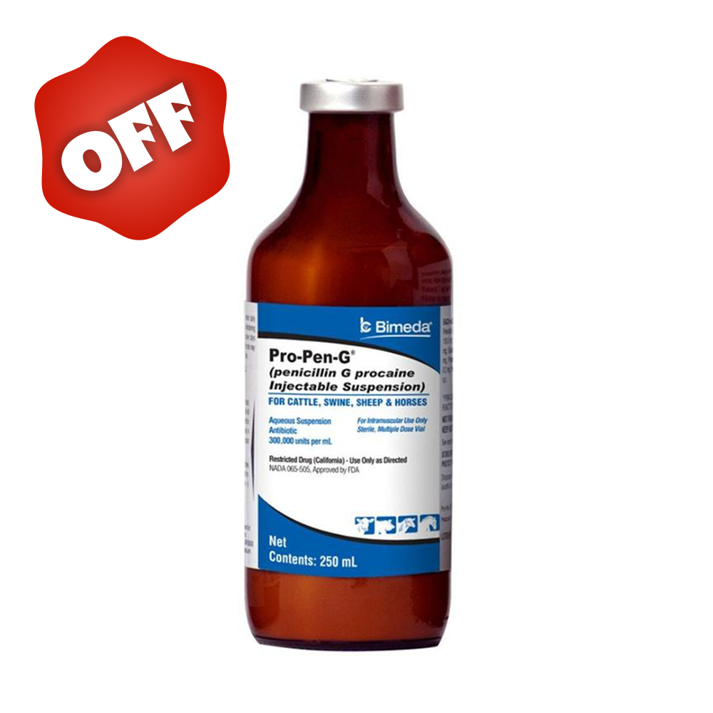 PRO-PEN-G (PENICILINA G PROCAINICA SUSPENSION INYECTABLE) 250 ML