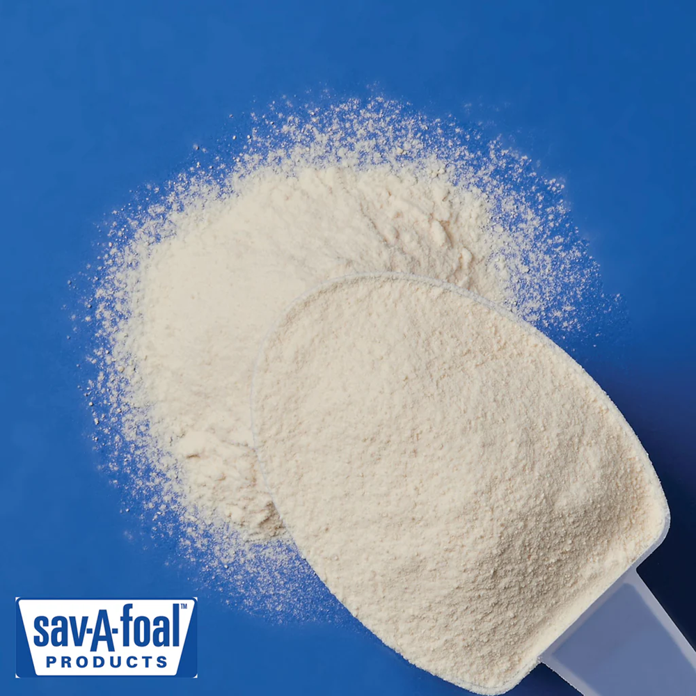 SAV-A-FOAL MILK REPLACER 20 LBS