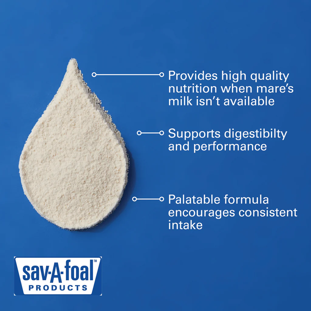 SAV-A-FOAL MILK REPLACER 20 LBS