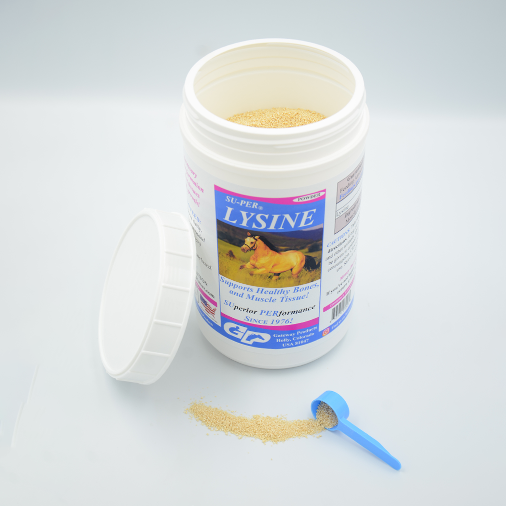 SUPER L-LYSINE 2.5 LBS