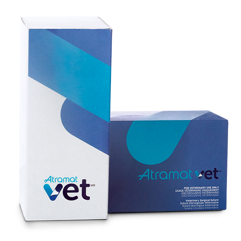 SUTURA ABSORBIBLE PGA 1