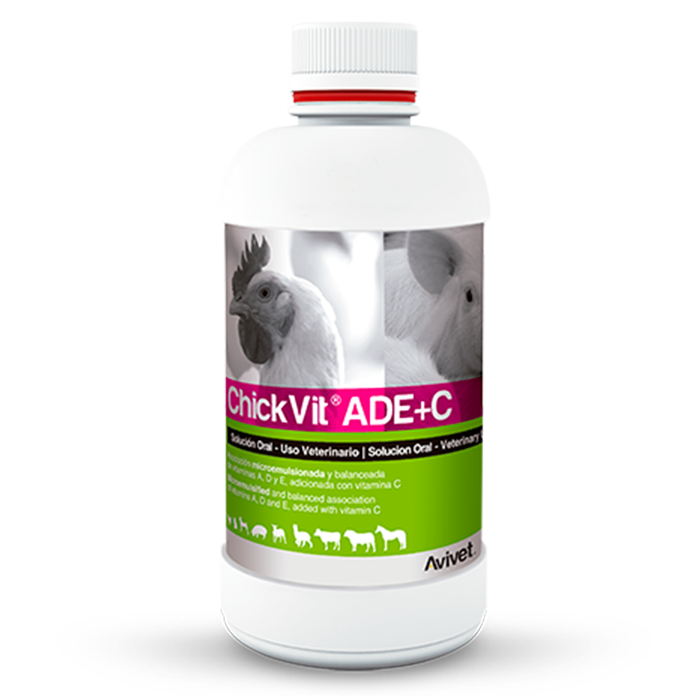CHICKVIT ADE+C SOLUCION ORAL 1 LITRO