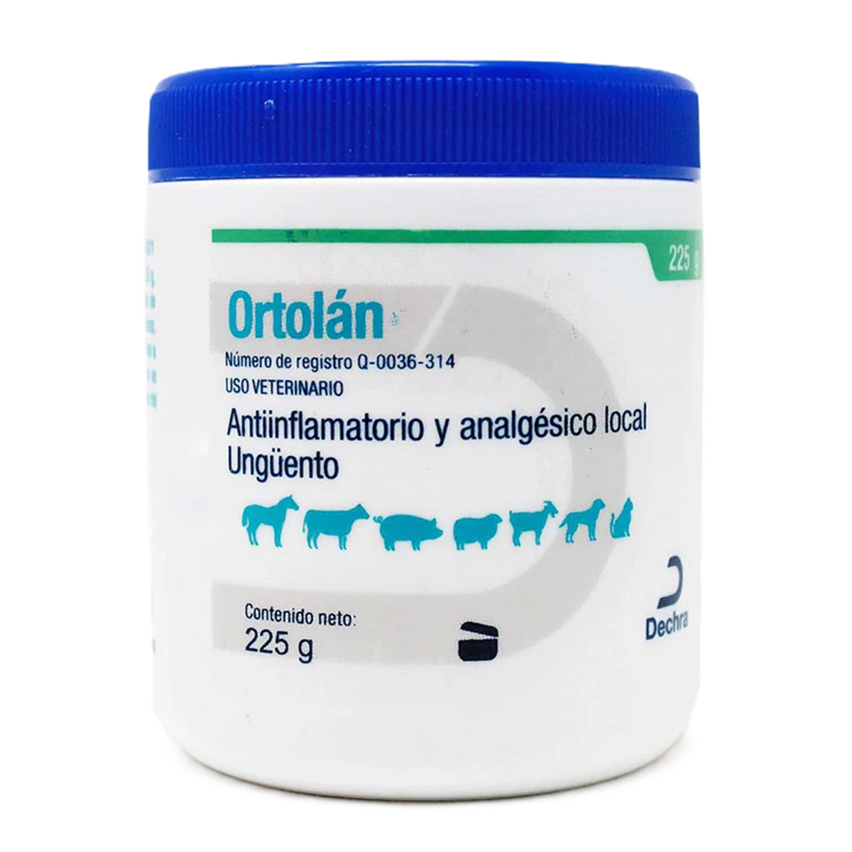ORTOLAN