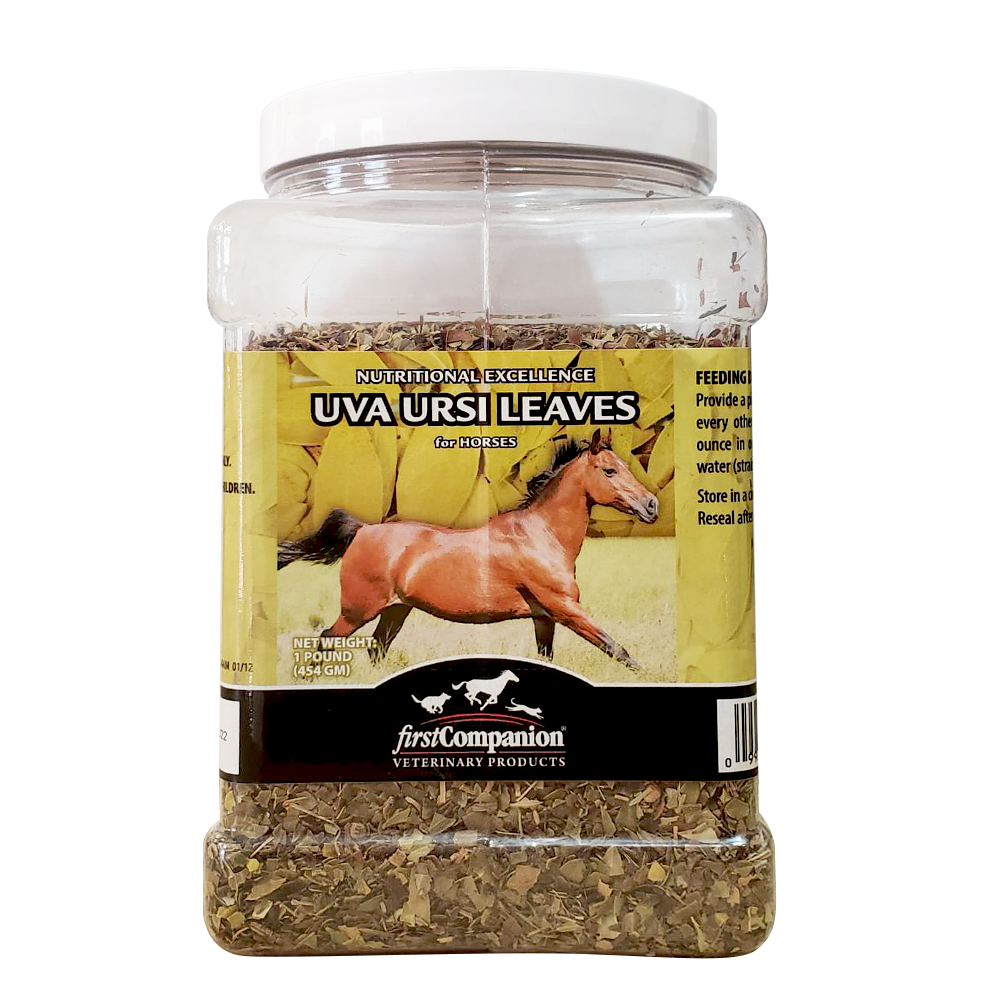 FIRST COMPANION UVA URSI LEAVES 1 LB