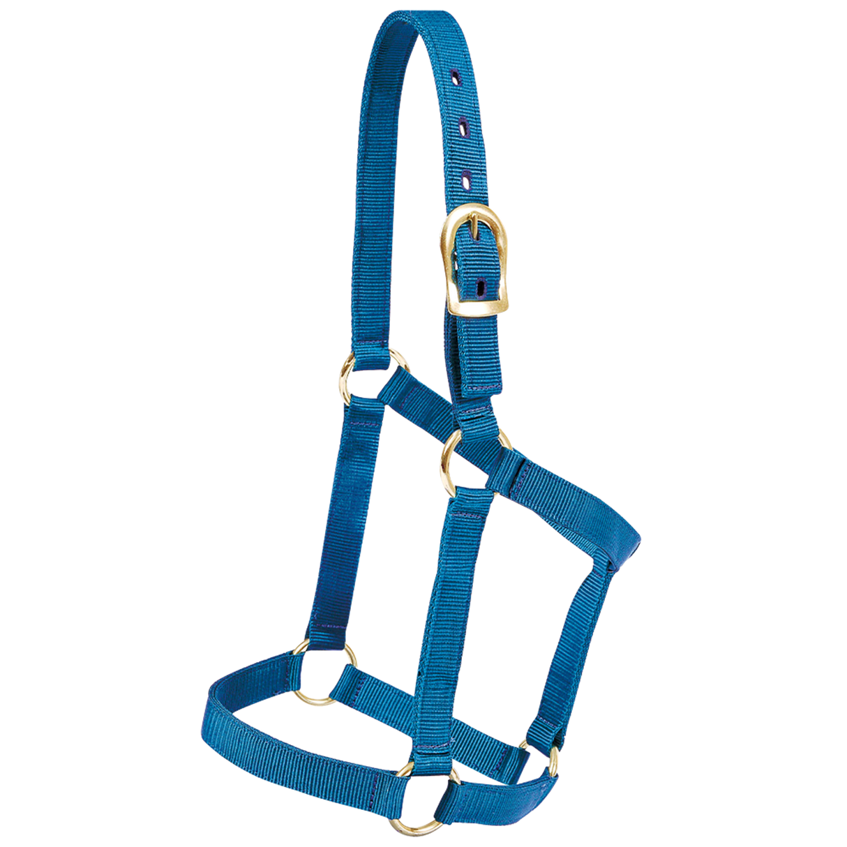 MUSTANG ALMARTIGON ECONOMICA POTRILLO