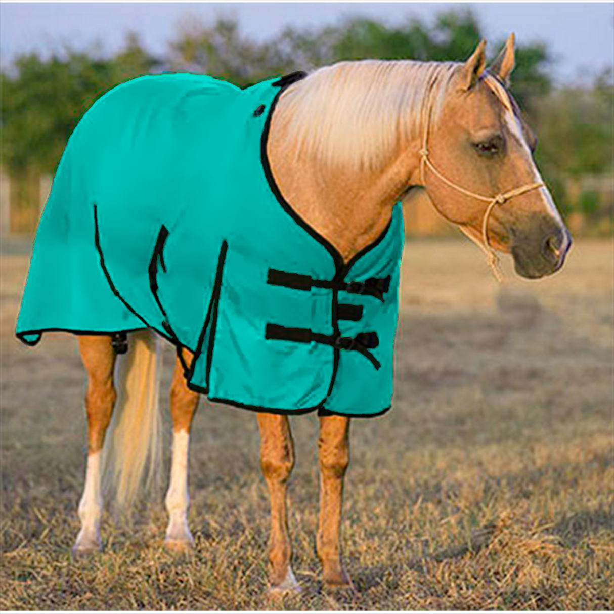 MUSTANG MANTA DENIER 600D