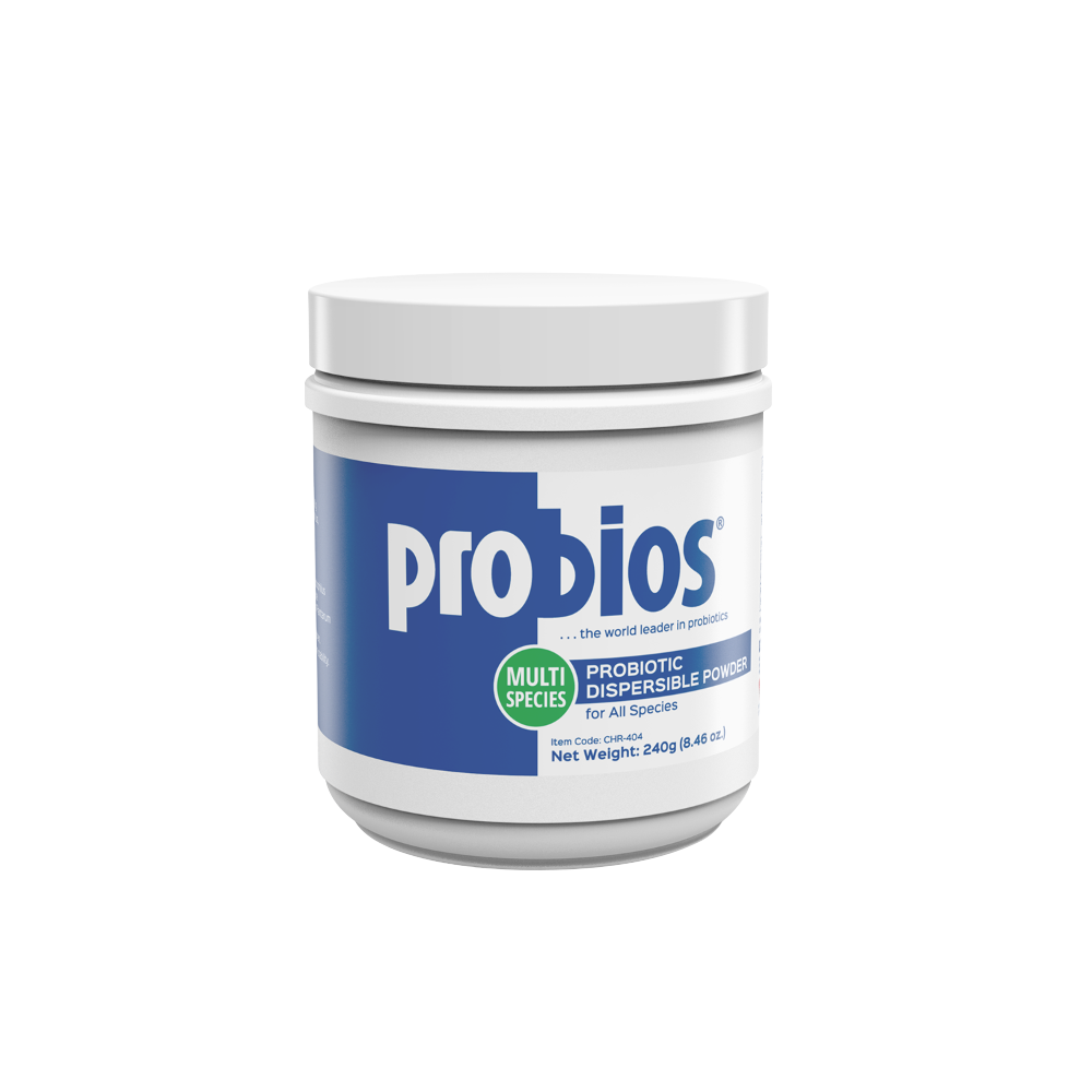 PROBIOS POLVO DISPERSABLE 240 GRM