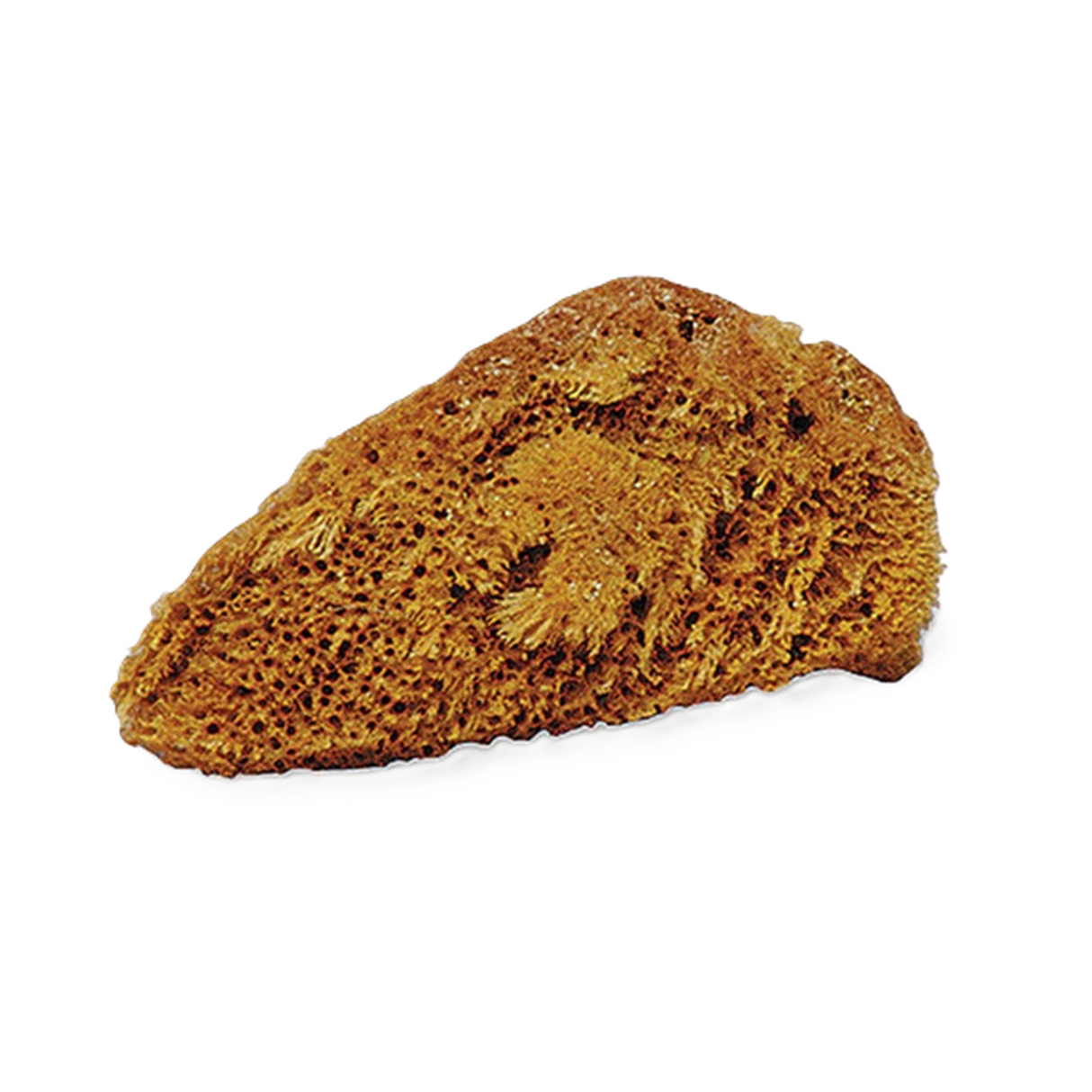 JACKS NATURAL TACK SPONGE