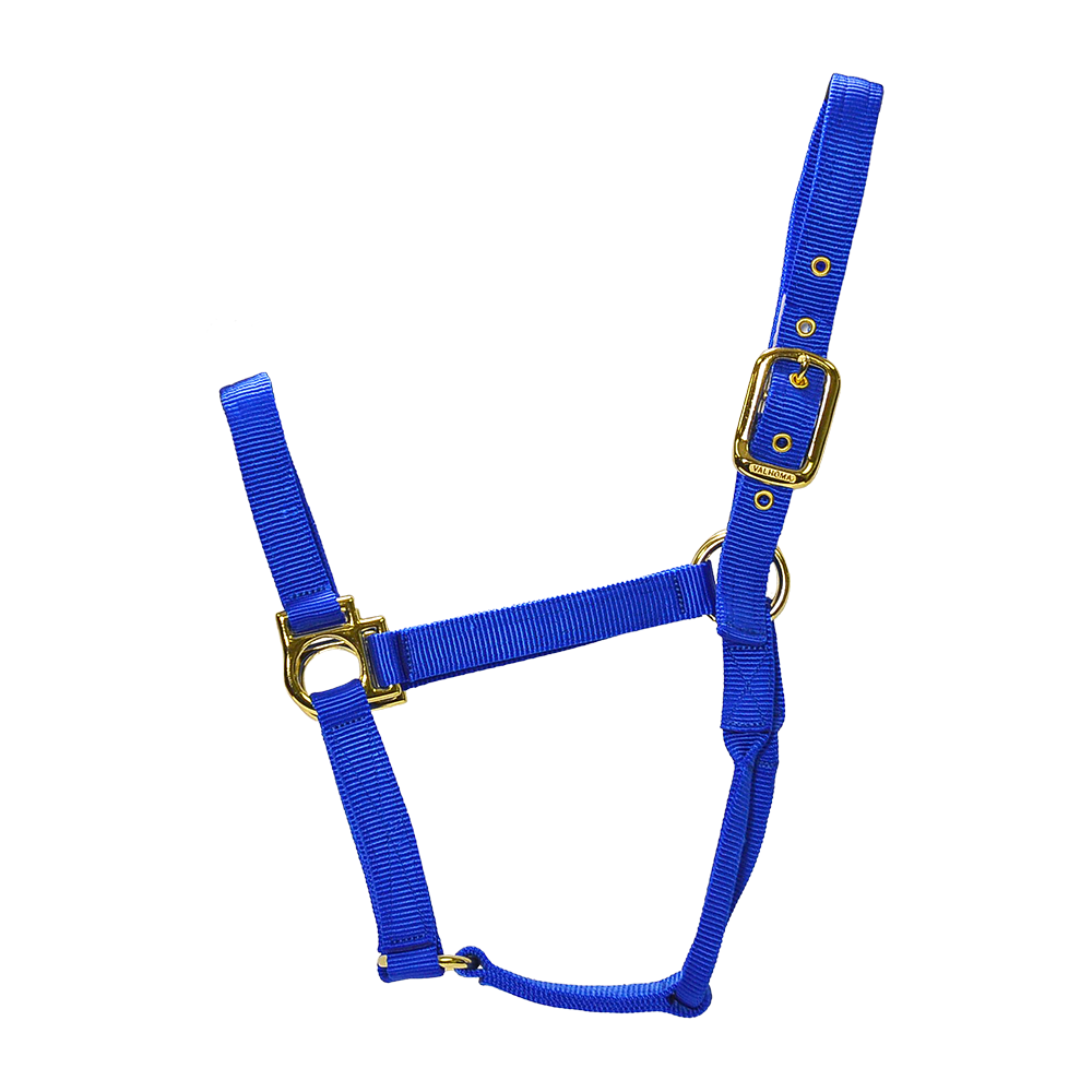 ALMARTIGÓN VALHOMA Q