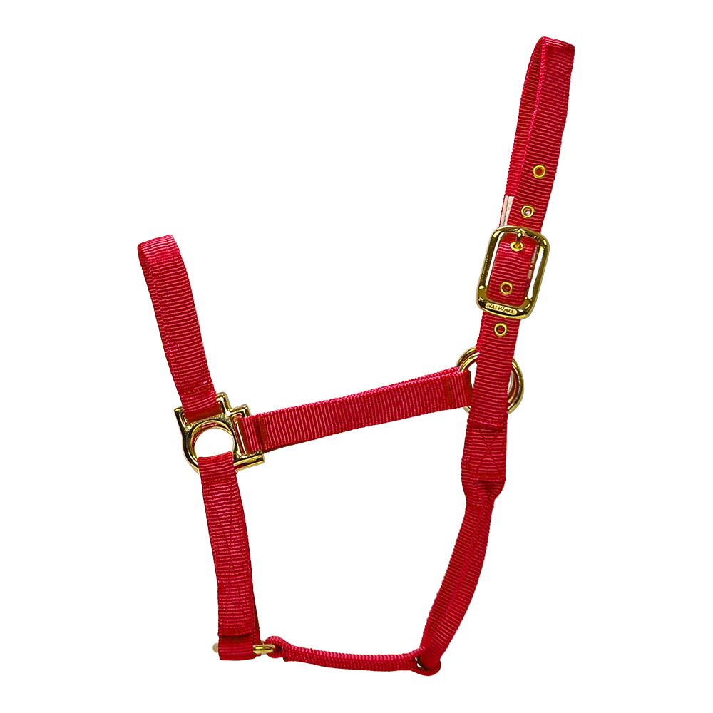 ALMARTIGÓN VALHOMA Q