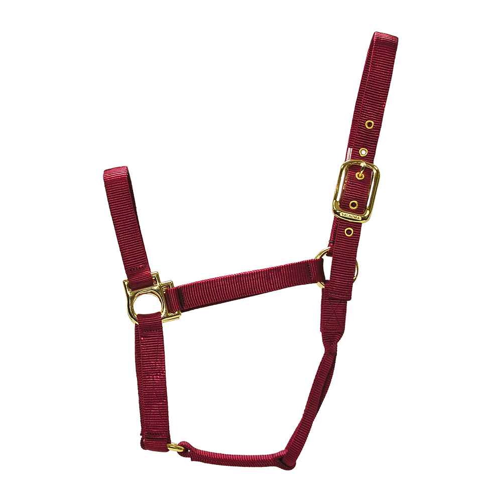 ALMARTIGÓN VALHOMA Q