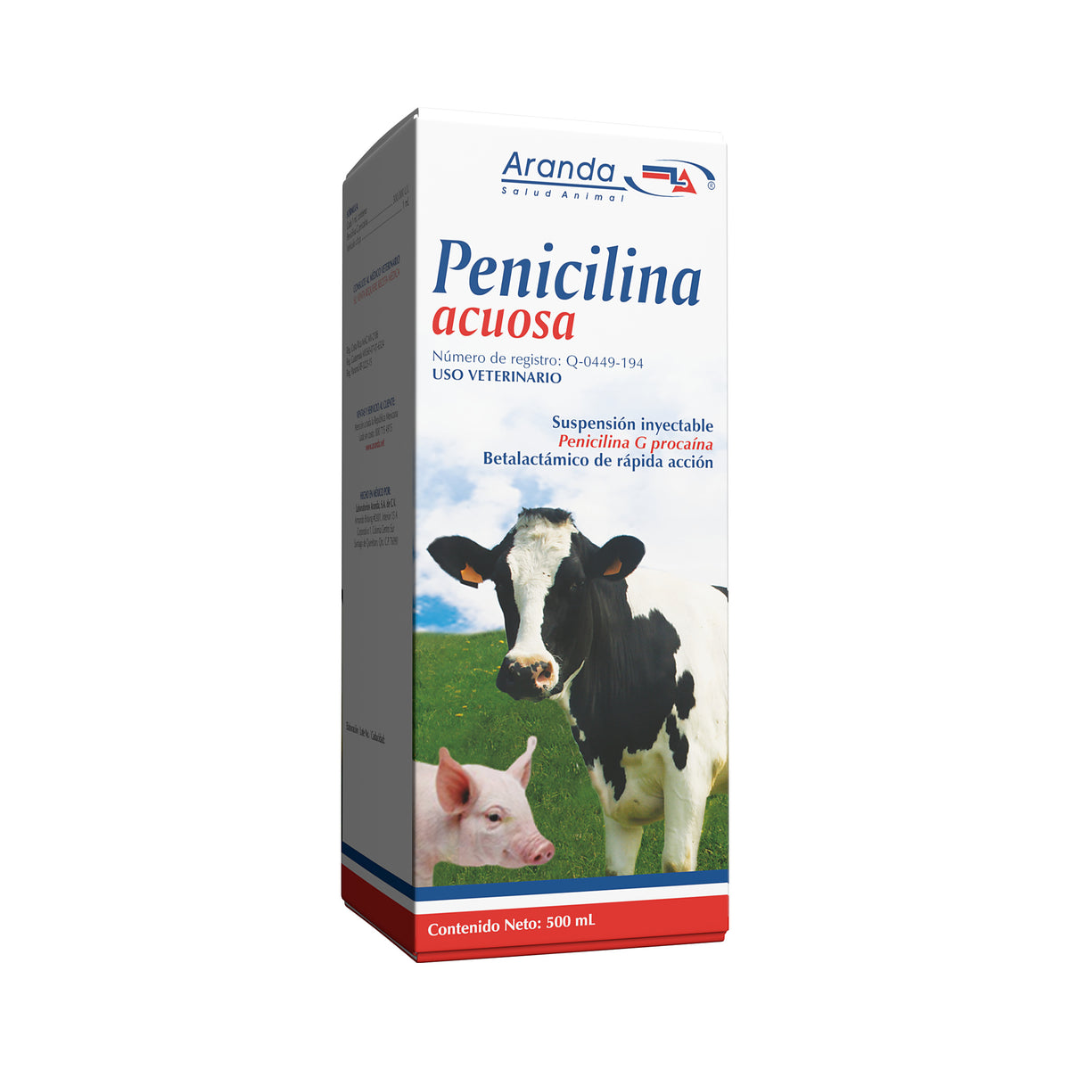 PENICILINA ACUOSA