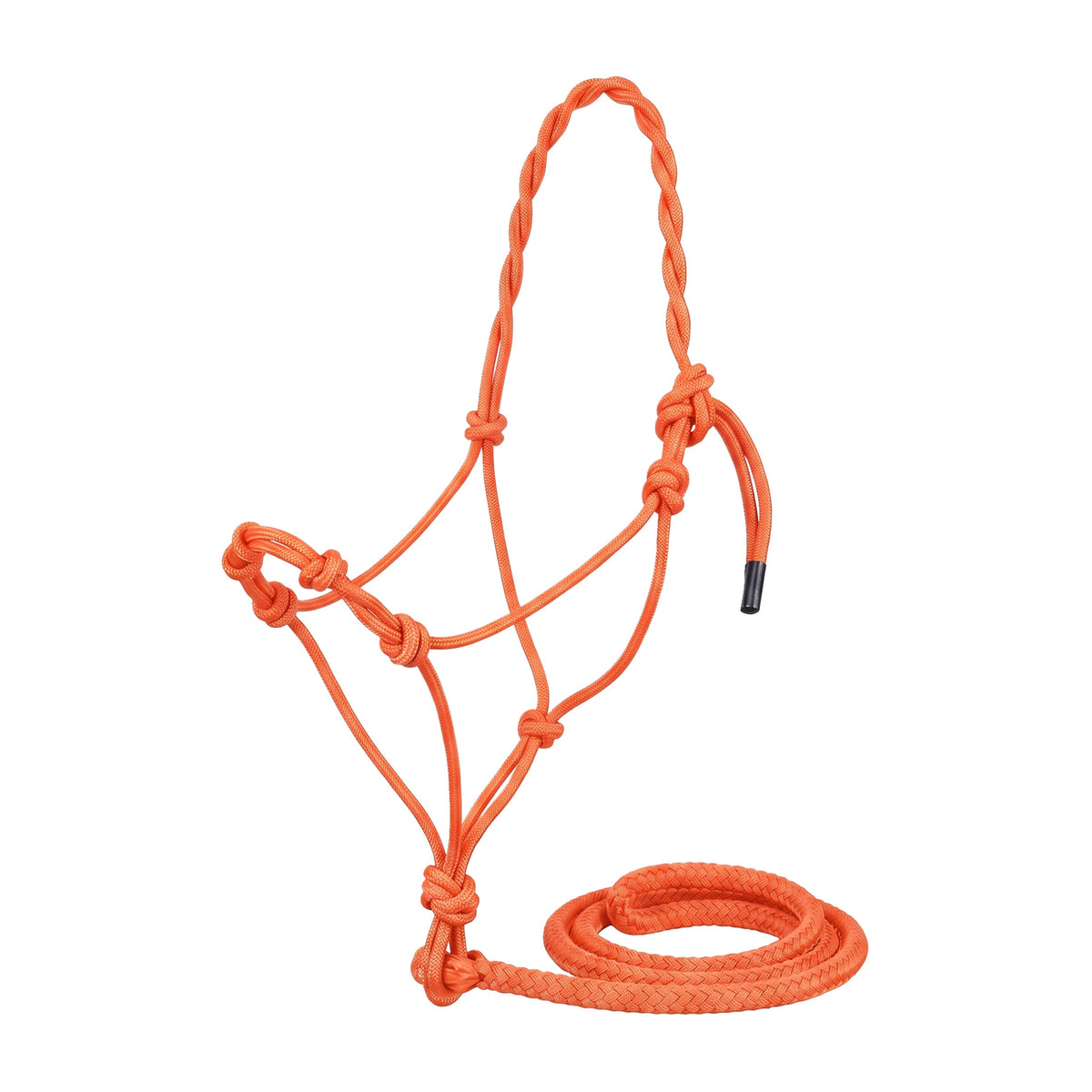 PARTRADE ALMARTIGON CON PASEADOR EQUI-SKY