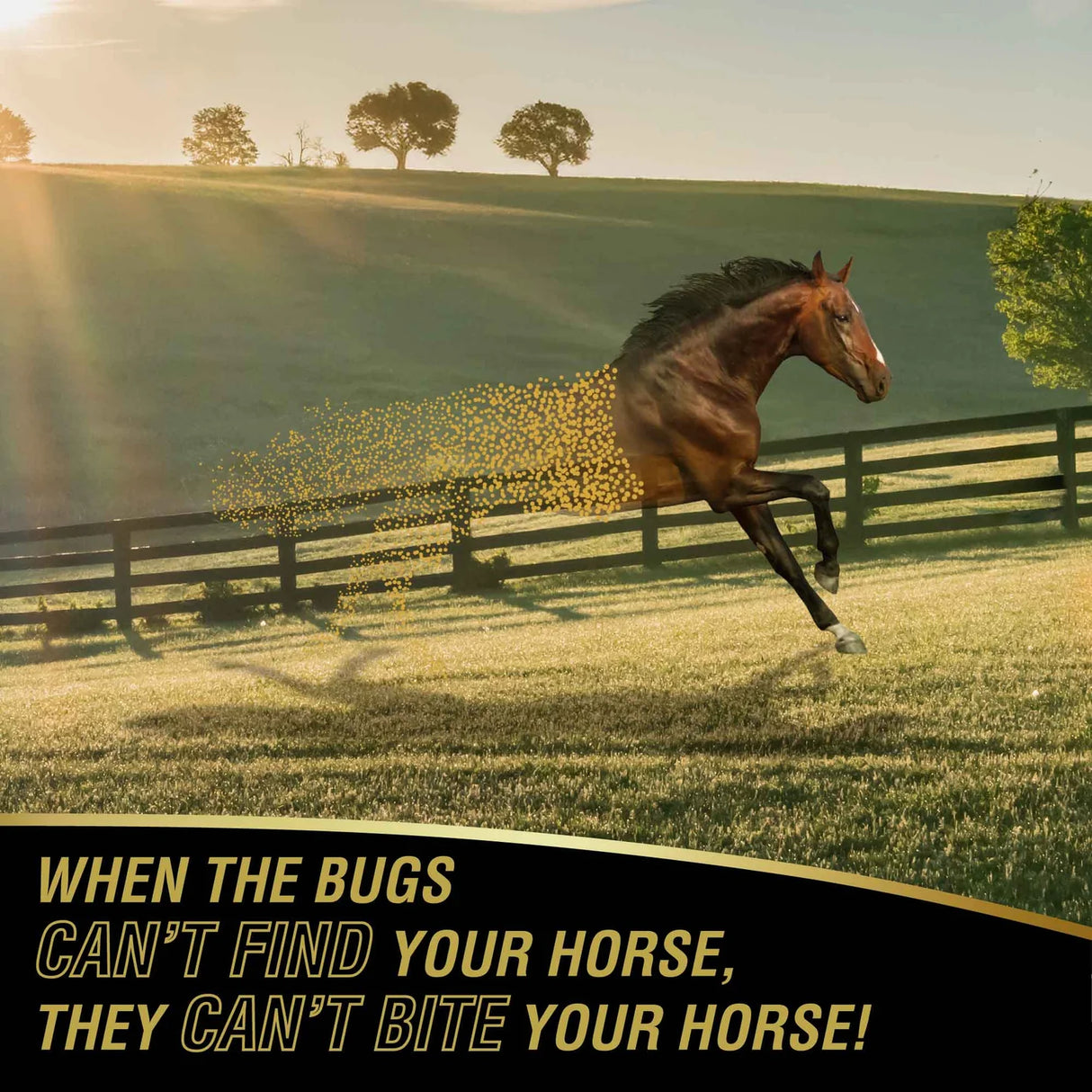 Caballo galopando en el campo, cuando los insectos no localizan al caballo con UltraShield Gold tampoco lo pican