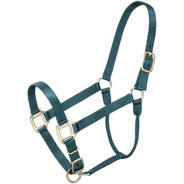ALMARTIGÓN PREMIUM CABALLO