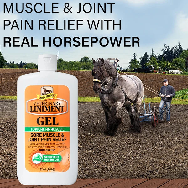 Caballos de tiro y el tubo de gel, alivio del dolor muscular y articular del Linimento Veterinario Absorbine