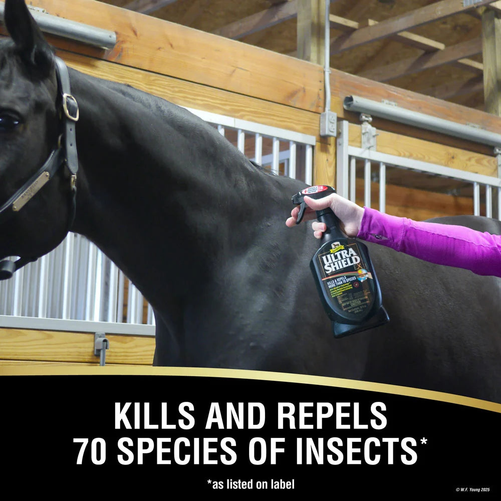 Caballo oscuro en caballeriza, UltraShield EX mata y repele más de 70 especies de insectos