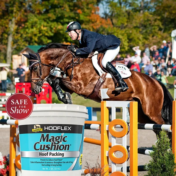Caballo de salto en competencia junto a los botes de Magic Cushion y sus reconocimientos