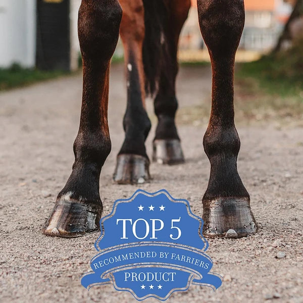Las cuatro patas de un caballo en pie, Magic Cushion Xtreme entre los productos más recomendados
