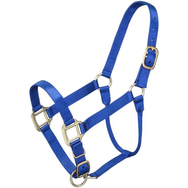 ALMARTIGÓN PREMIUM CABALLO