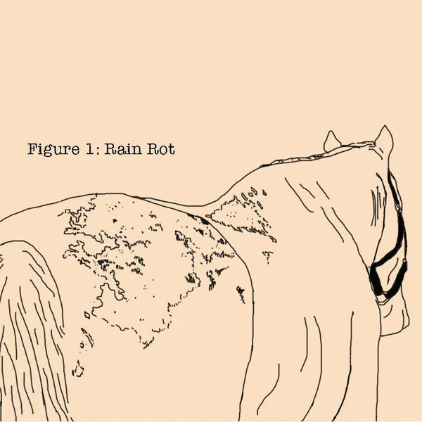 Ilustración de un caballo con las zonas del lomo afectadas por dermatofilosis o rain rot