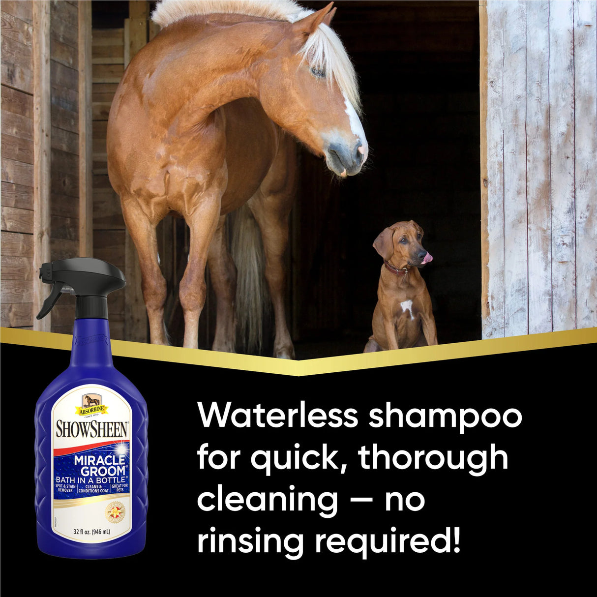 Cabeza de caballo, Miracle Groom es un champú sin agua para limpieza rápida y a fondo sin enjuague