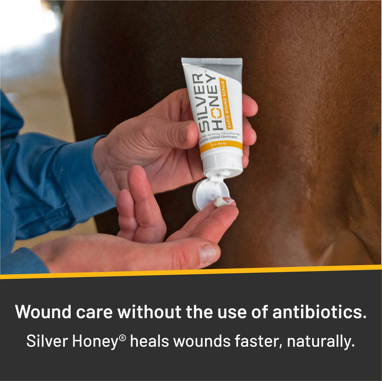 Mano sosteniendo el tubo de ungüento Silver Honey junto a un caballo en la caballeriza