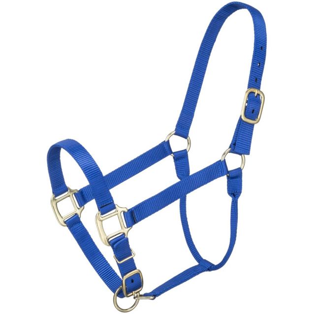 ALMARTIGÓN PREMIUM CABALLO