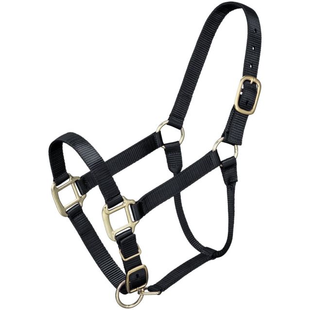 ALMARTIGÓN PREMIUM CABALLO