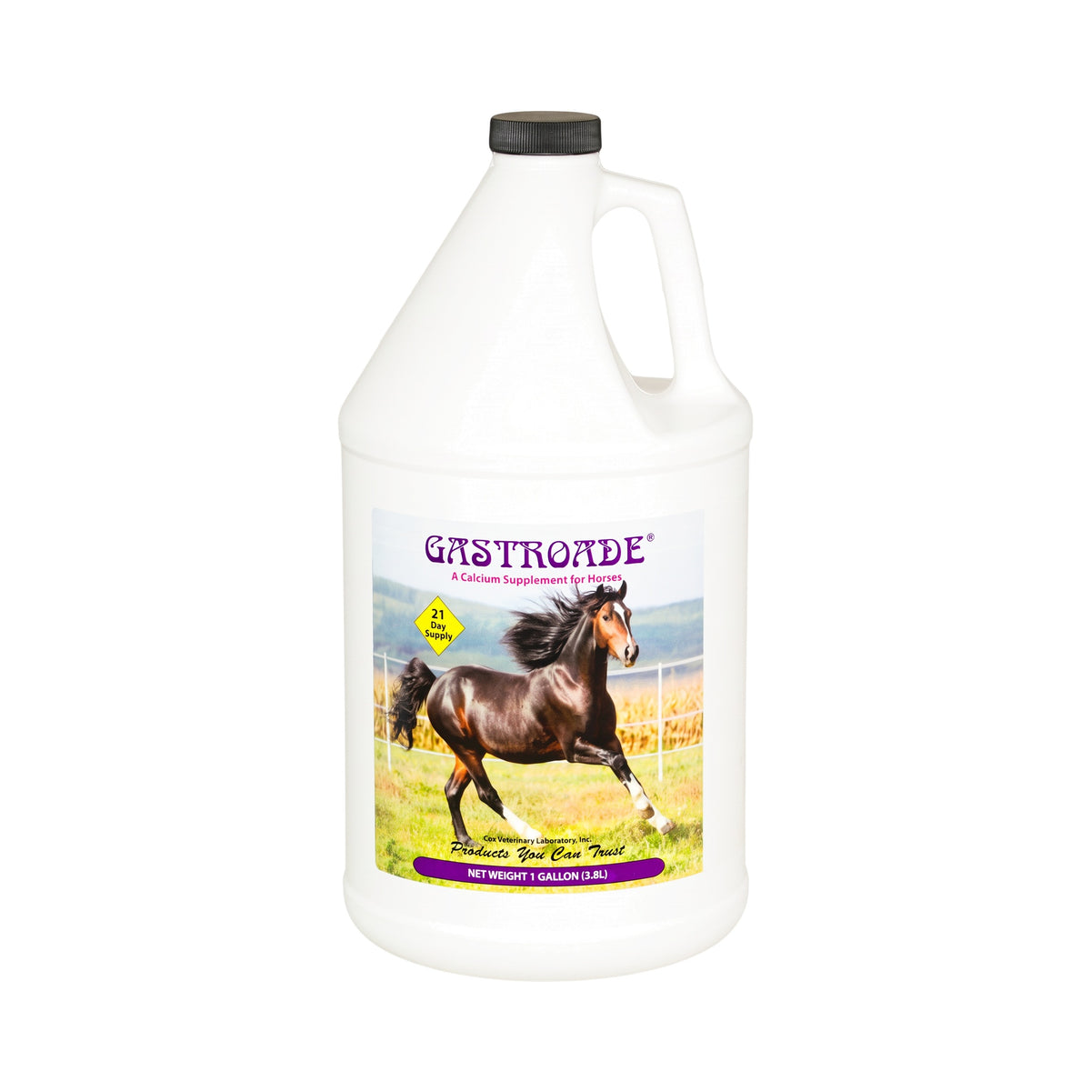 GASTROADE (GALON)