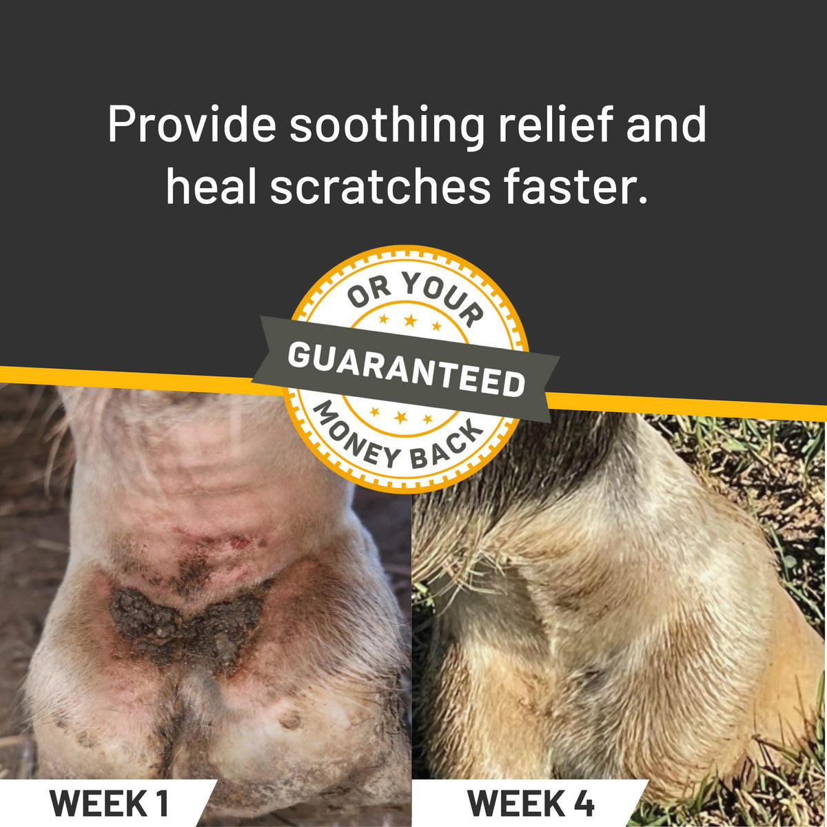SILVER HONEY VET STRENGTH SCRATCHES SPRAY ABSORBINE (6 OZ) (COMEZON)