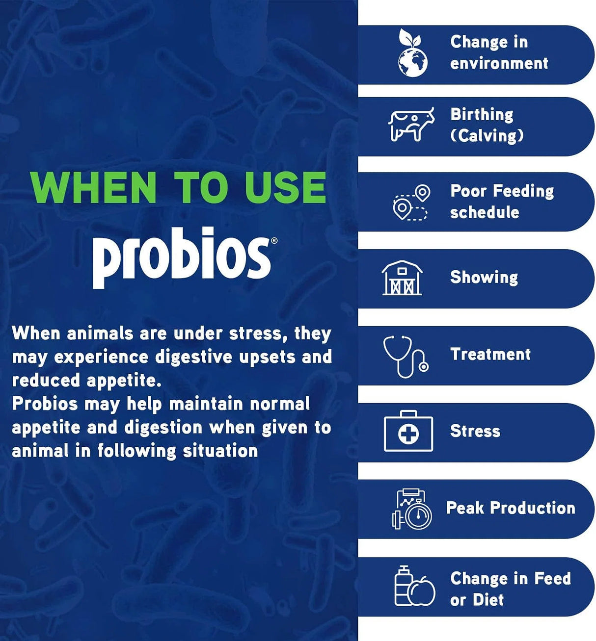 PROBIOS BOVINE ONE ORAL GEL