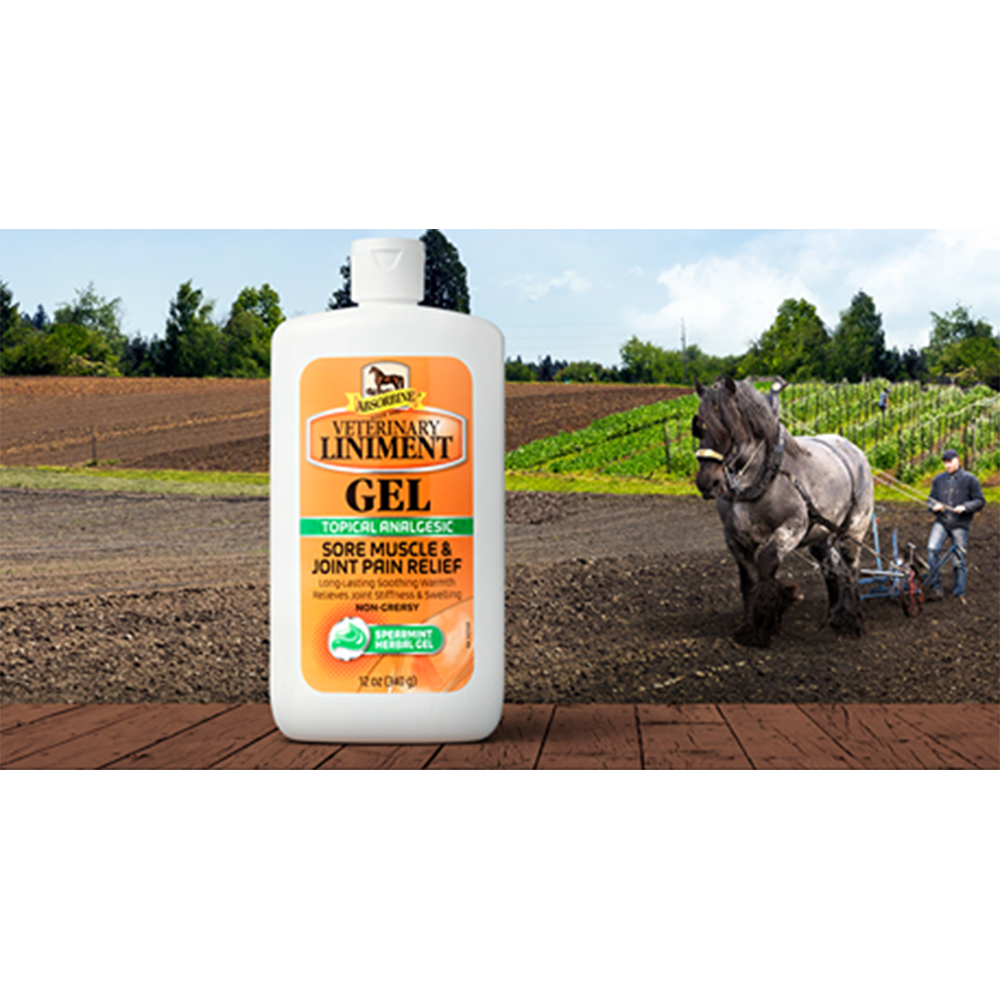 LINIMENTO VETERINARIO GEL ABSORBINE (340 GRMS)