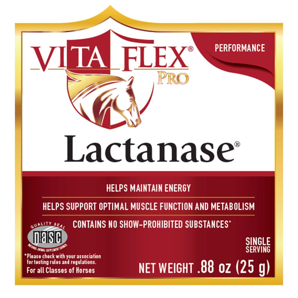 VITAFLEX LACTANASE SOBRE 25 GRMS