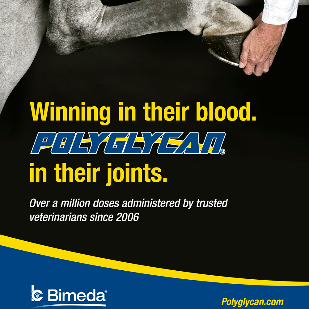 POLYGLYCAN 10 ML (50 mg HA/1000 mg Condritina/1000 mg Glucosamina) (RX)