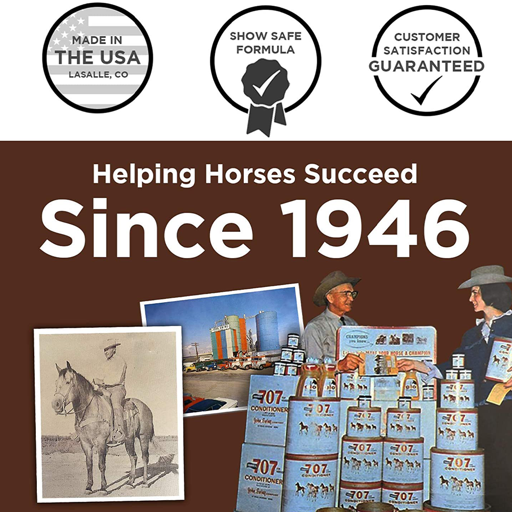 FORMULA 707 PERFORMACE LIQUIDO GALON