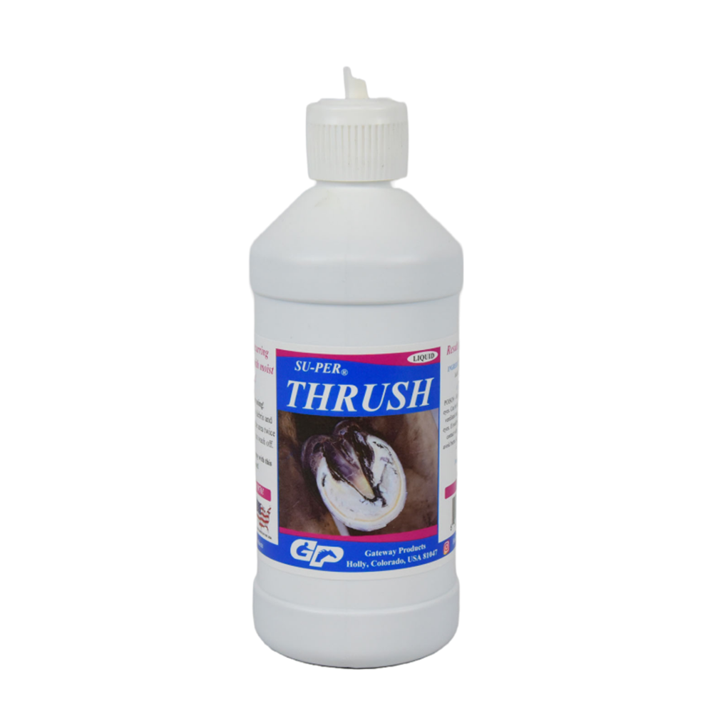SUPER THRUSH 473 ML ( PARA TRATAR CANDIDIASIS EN LA RANILLA)