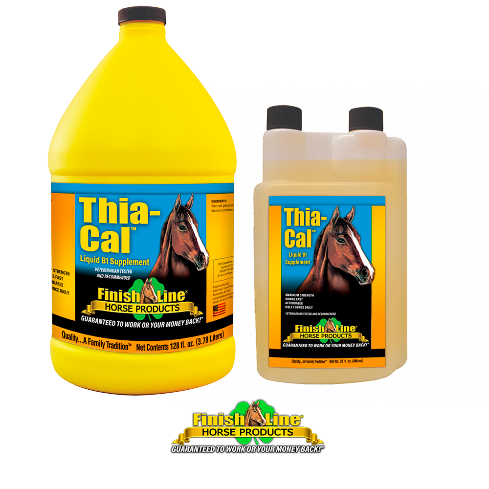 THIA-CAL (SUPLEMENTO DE VITAMINA B-1 LIQUIDO) 946 ML