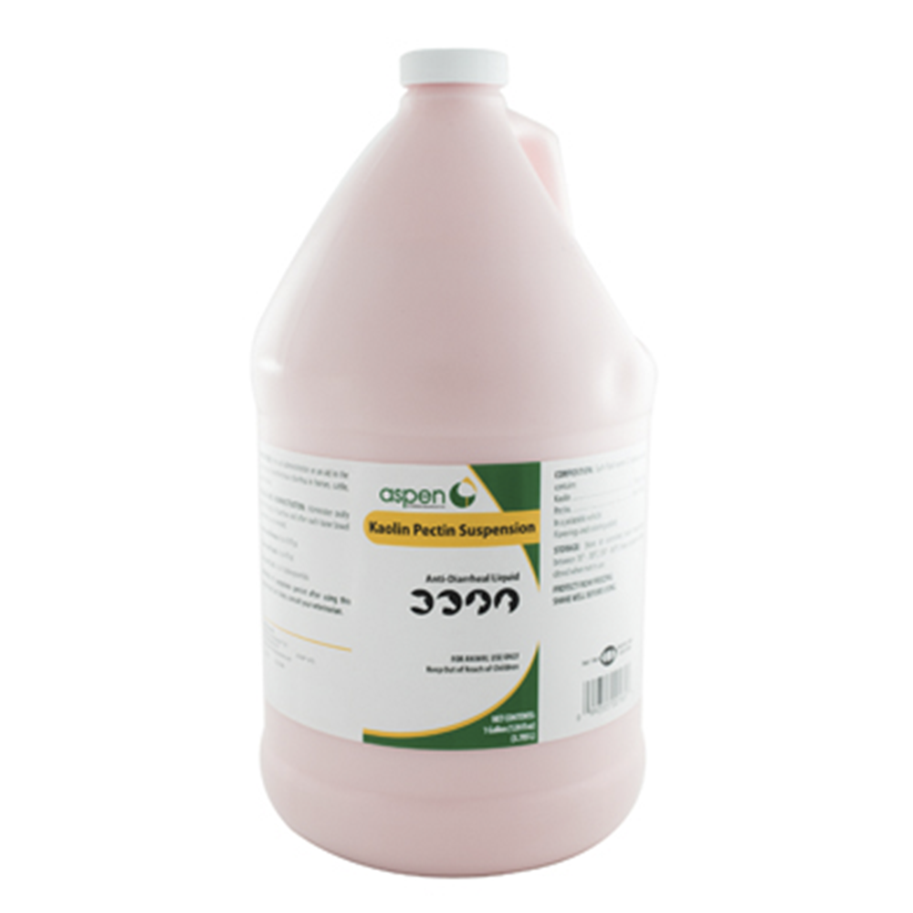 KAOLIN PECTIN 4 GR SUSPENSION GALON (ASPEN)