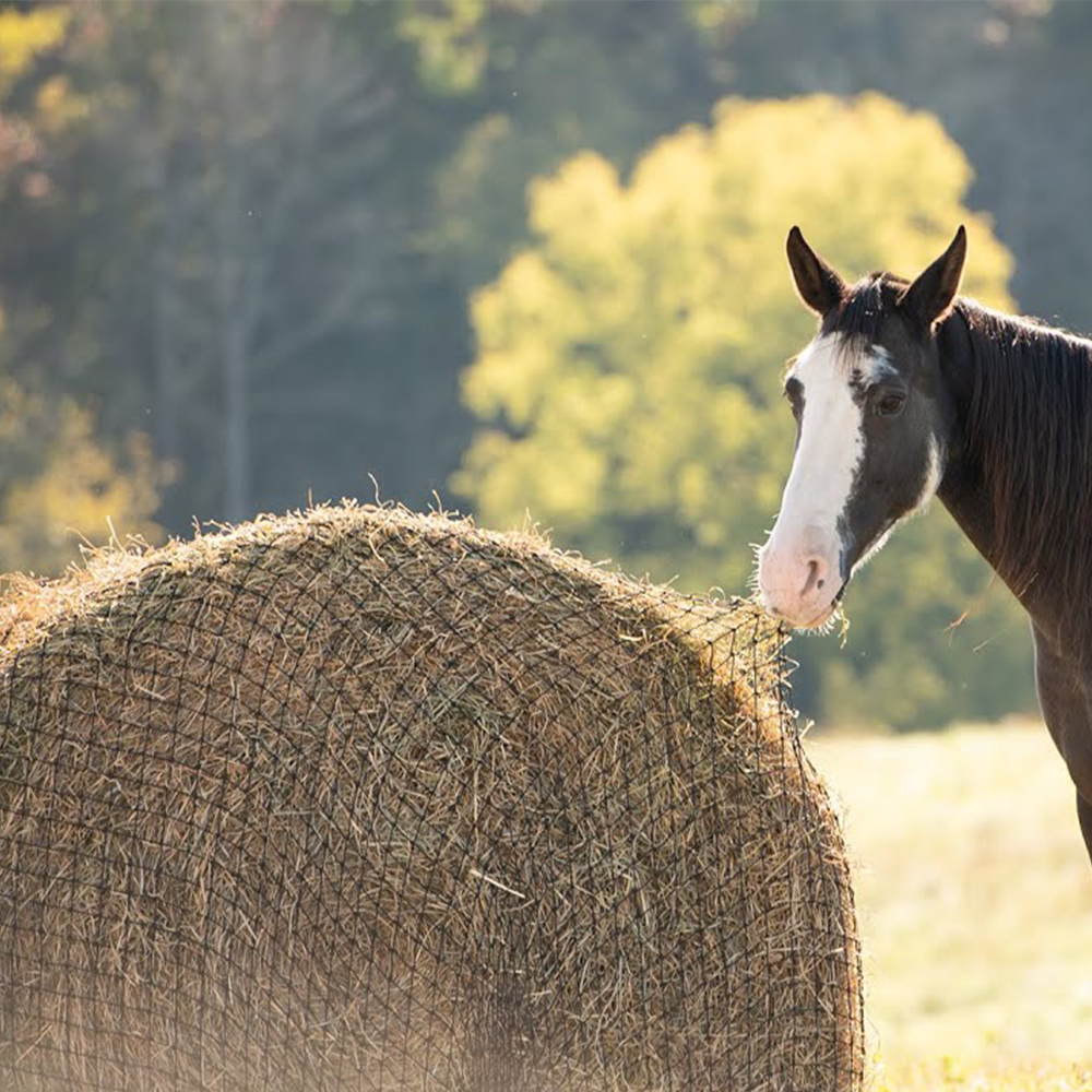 1.75" ROUND BALE HAY NET ( BARCINA/RED PARA PACAS REDONDAS DE 400 KGS )
