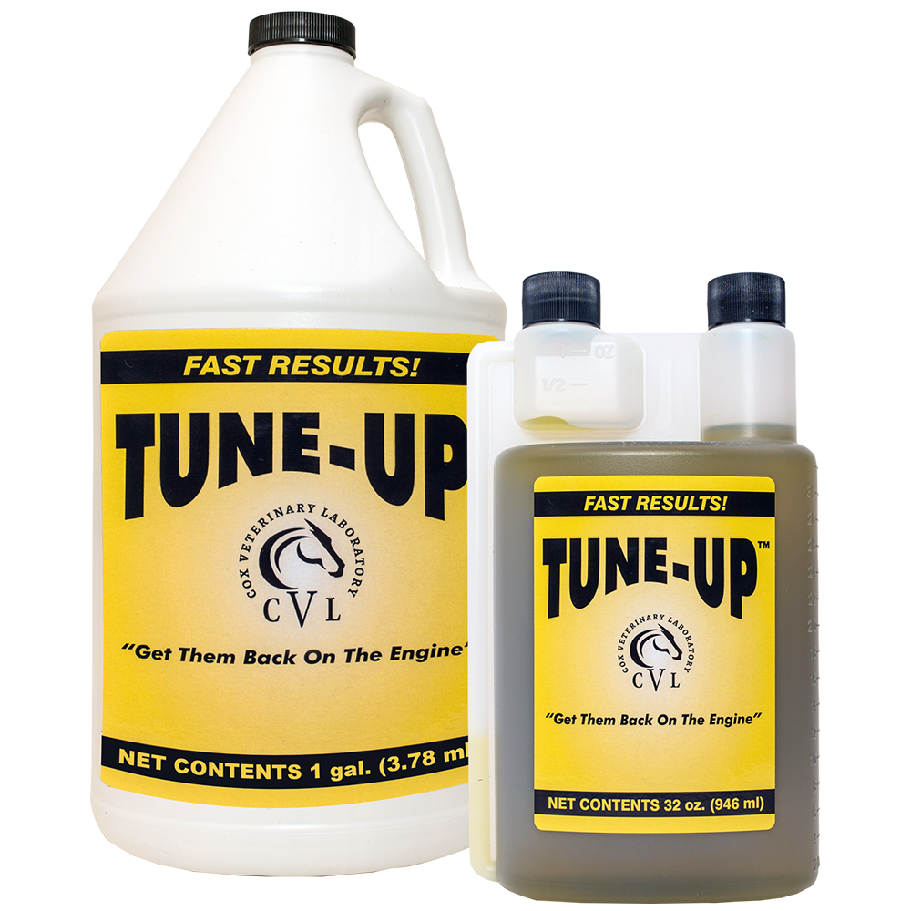 TUNE UP 946 ML ( SUPLEMENTO DE RECUPERACION MUSCULAR)