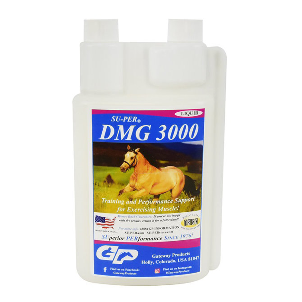 SUPER DMG 3000 QUART