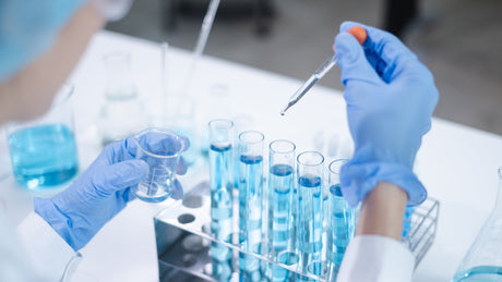 Cómo interpretar un FEC (EPG) en caballos y decidir desparasitación (guía práctica)