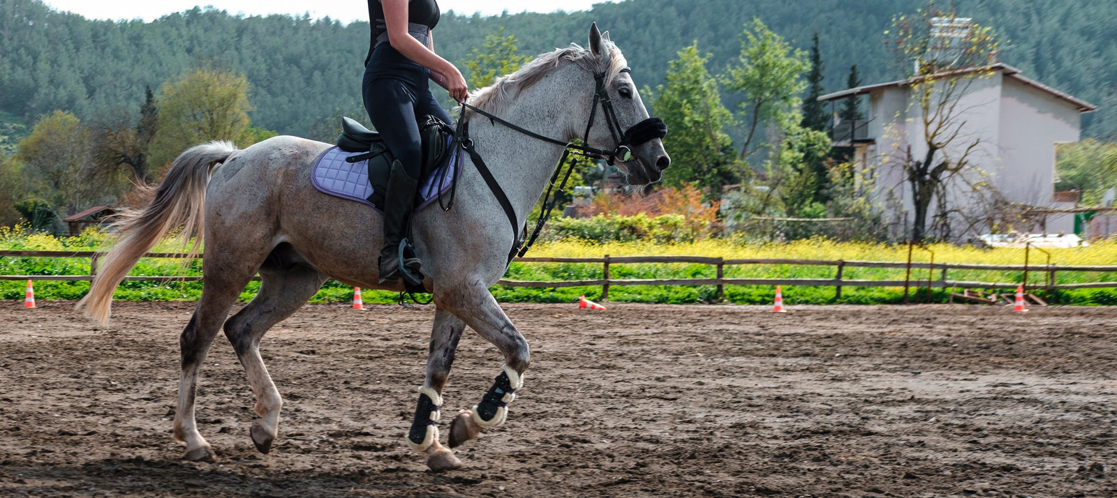 Ejercicio en caballos con EMS: evidencia clínica, protocolos seguros y riesgo de laminitis